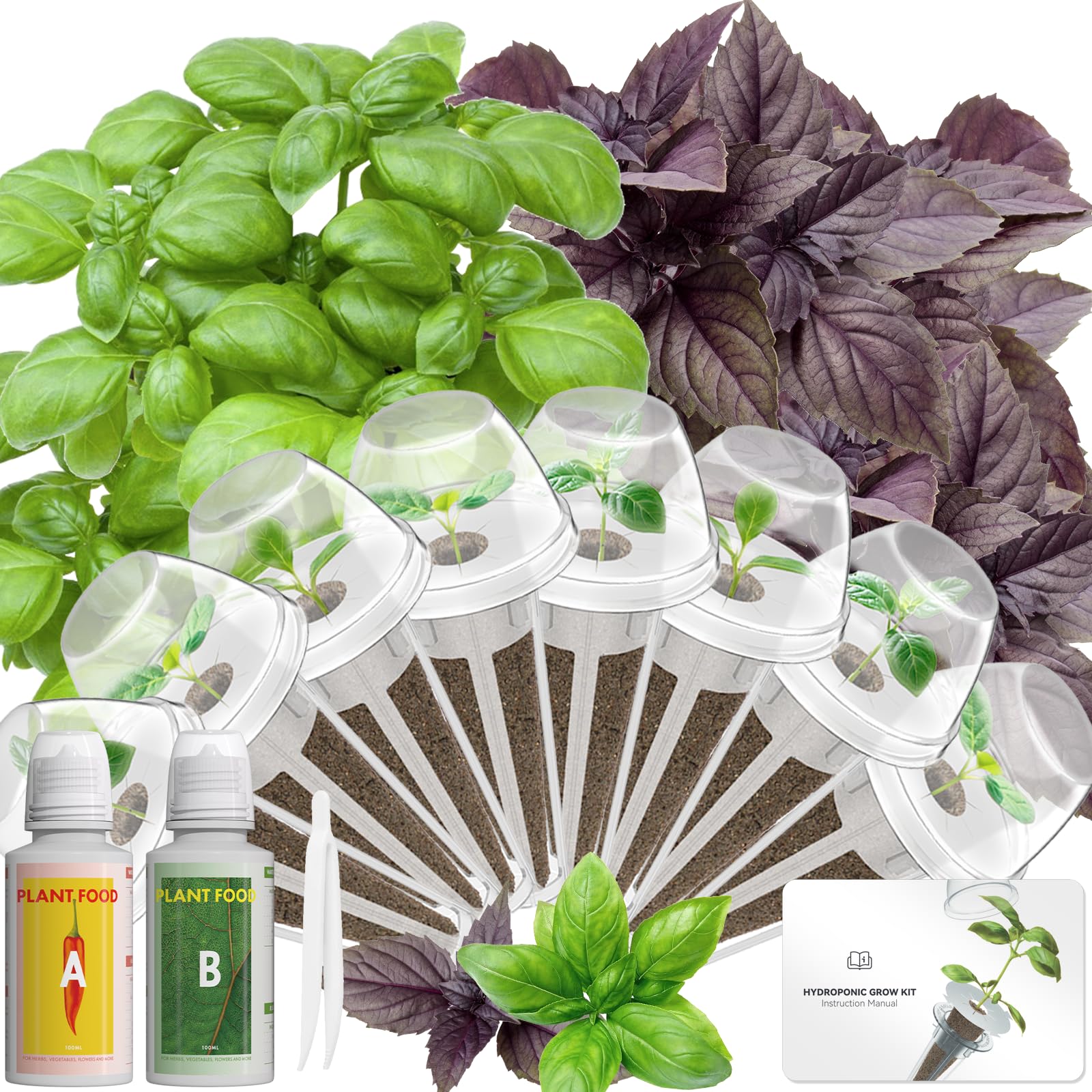 Hydroponics Seed Pod with Genovese Basil & Purple