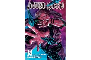 Jujutsu Kaisen, Vol. 14