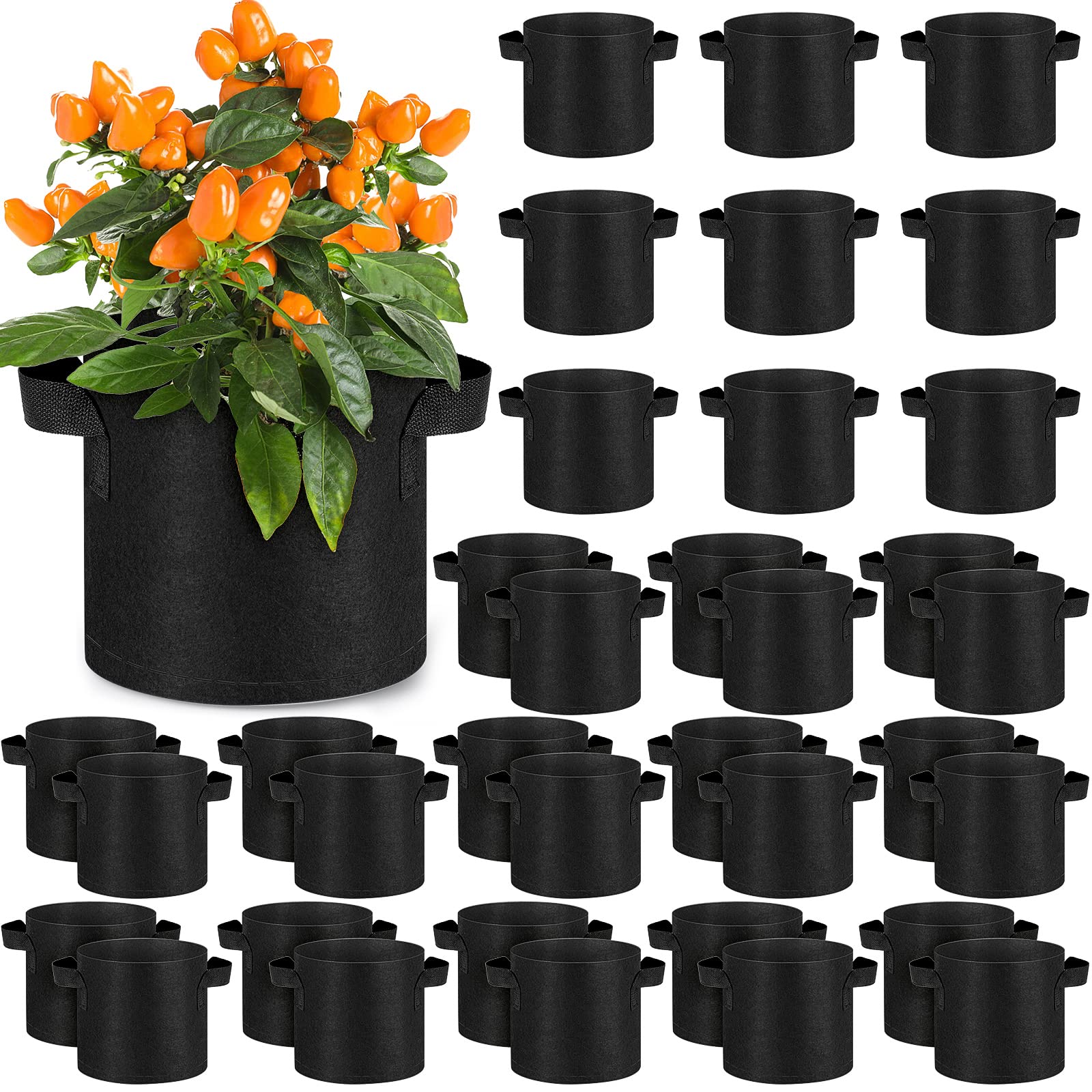 Photo 1 of Nuanchu 36 Packs 2 Gallon Grow Bags Bulk Aeration Fabric Pot with Handles Thickened Nonwoven Garden Bags to Healthy Root Growth Vegetables Heavy Duty Grow Pots Planting Bag Planter for Flower Fruits