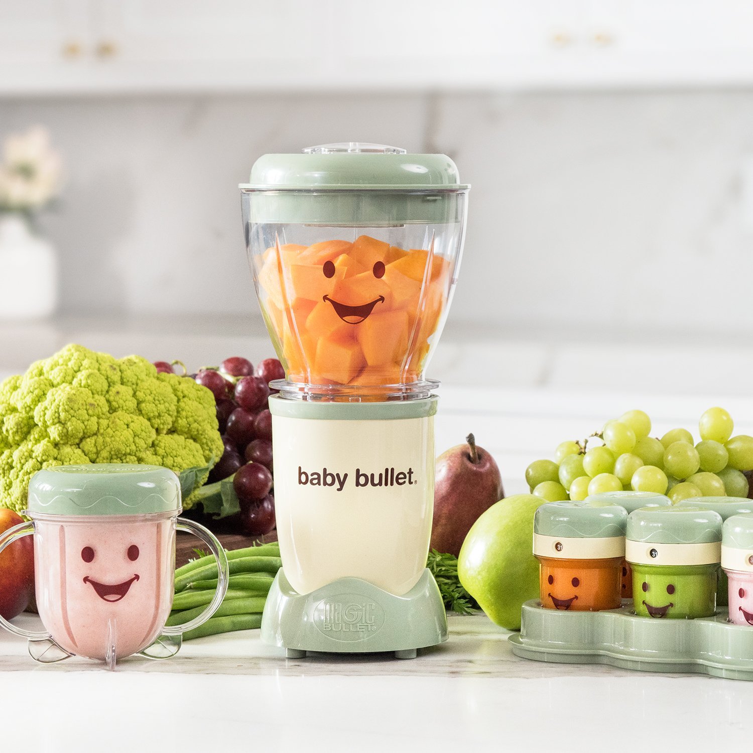 Magic Bullet Baby Bullet Baby Care System Best Babymart