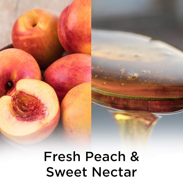 AIR WICK PLUG IN SCENTED OIL REFILL, 7 CT, PEACH & SWEET NECTAR, AIR FRESHENER, ESSENTIAL OILS