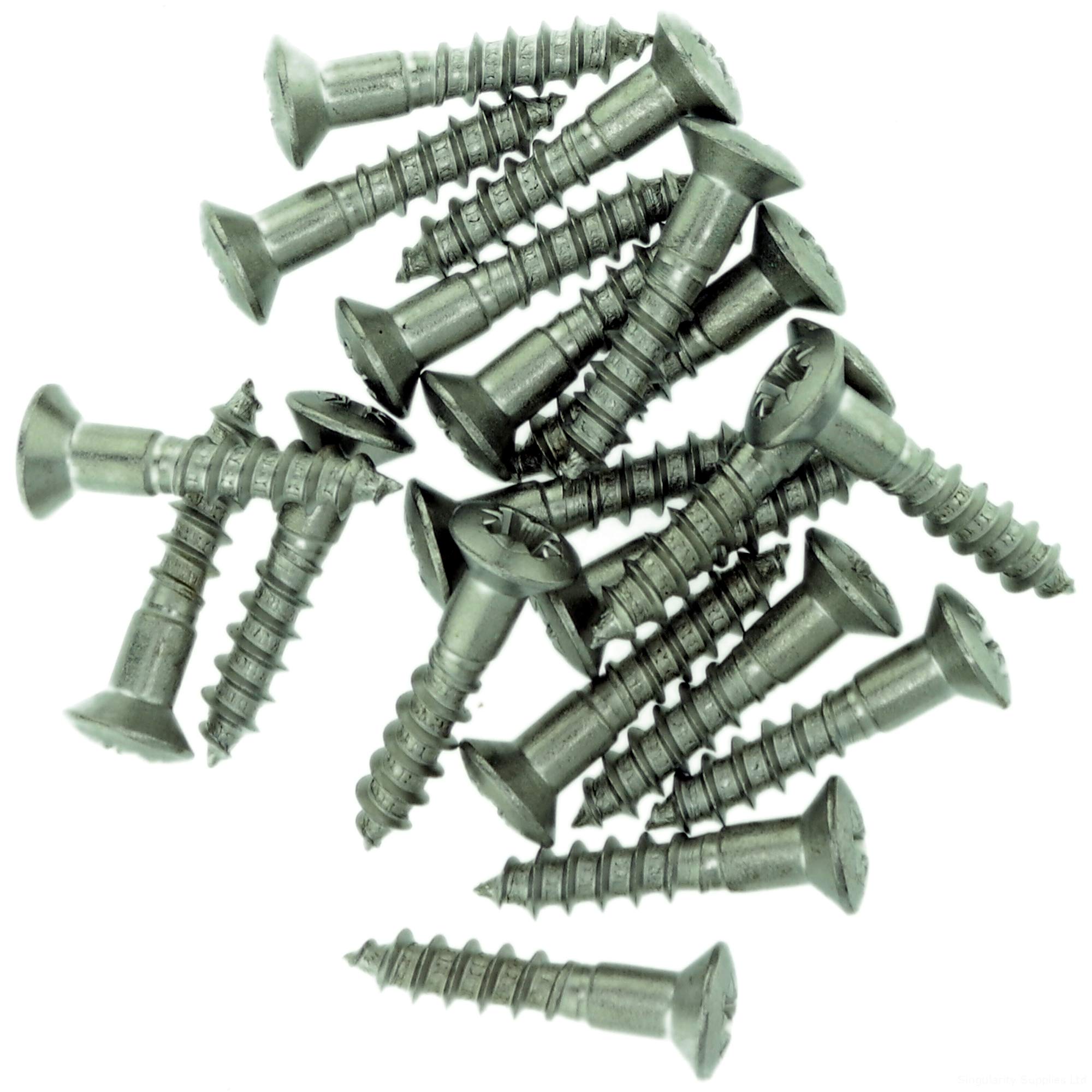 No.6 x 0.78 (3.5mm x 20mm) Pozi Raised Countersunk Wood Screw - Stainless Steel (A2) (Pack of 20)