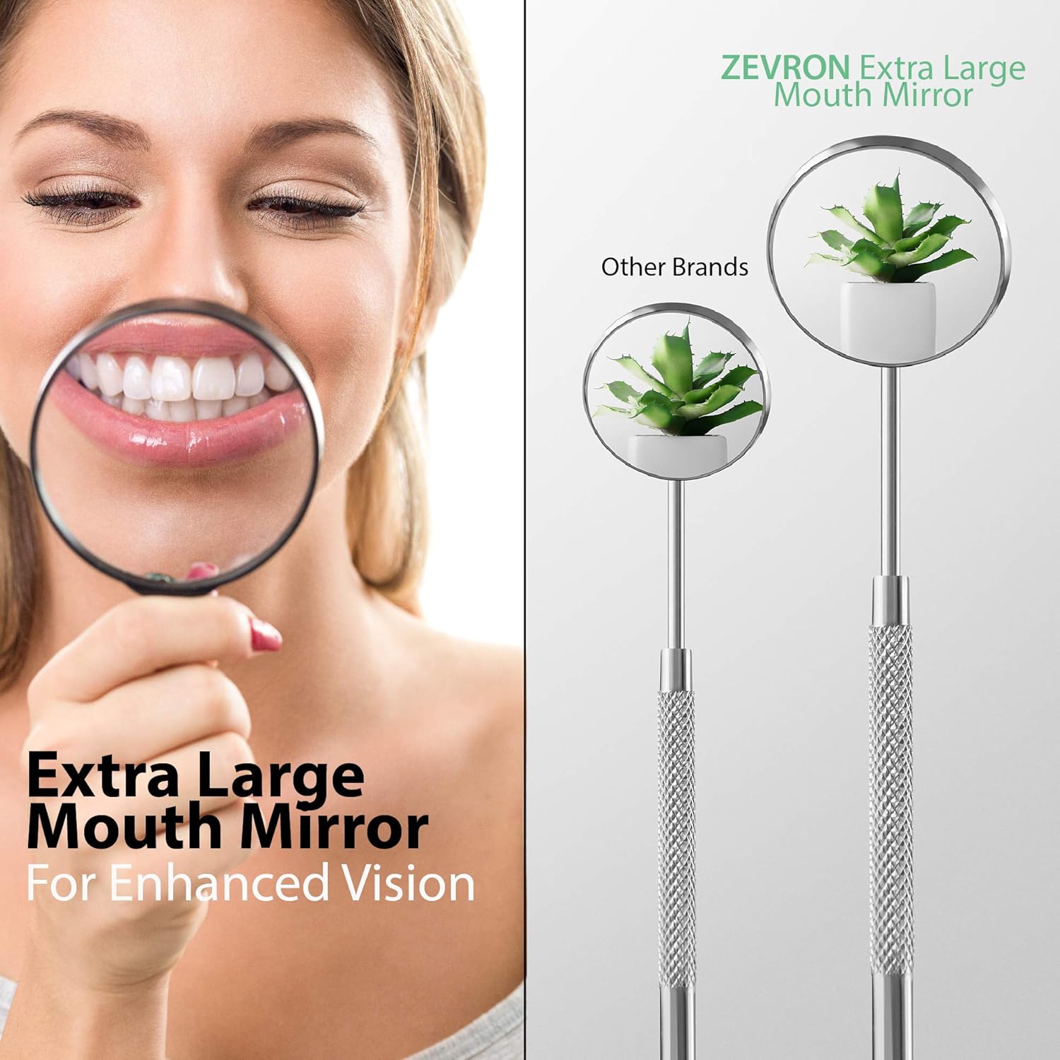 DrBoost atHome Deep Teeth Cleaning Kit Stainless Steel Interdental Cleaning Toothpicks