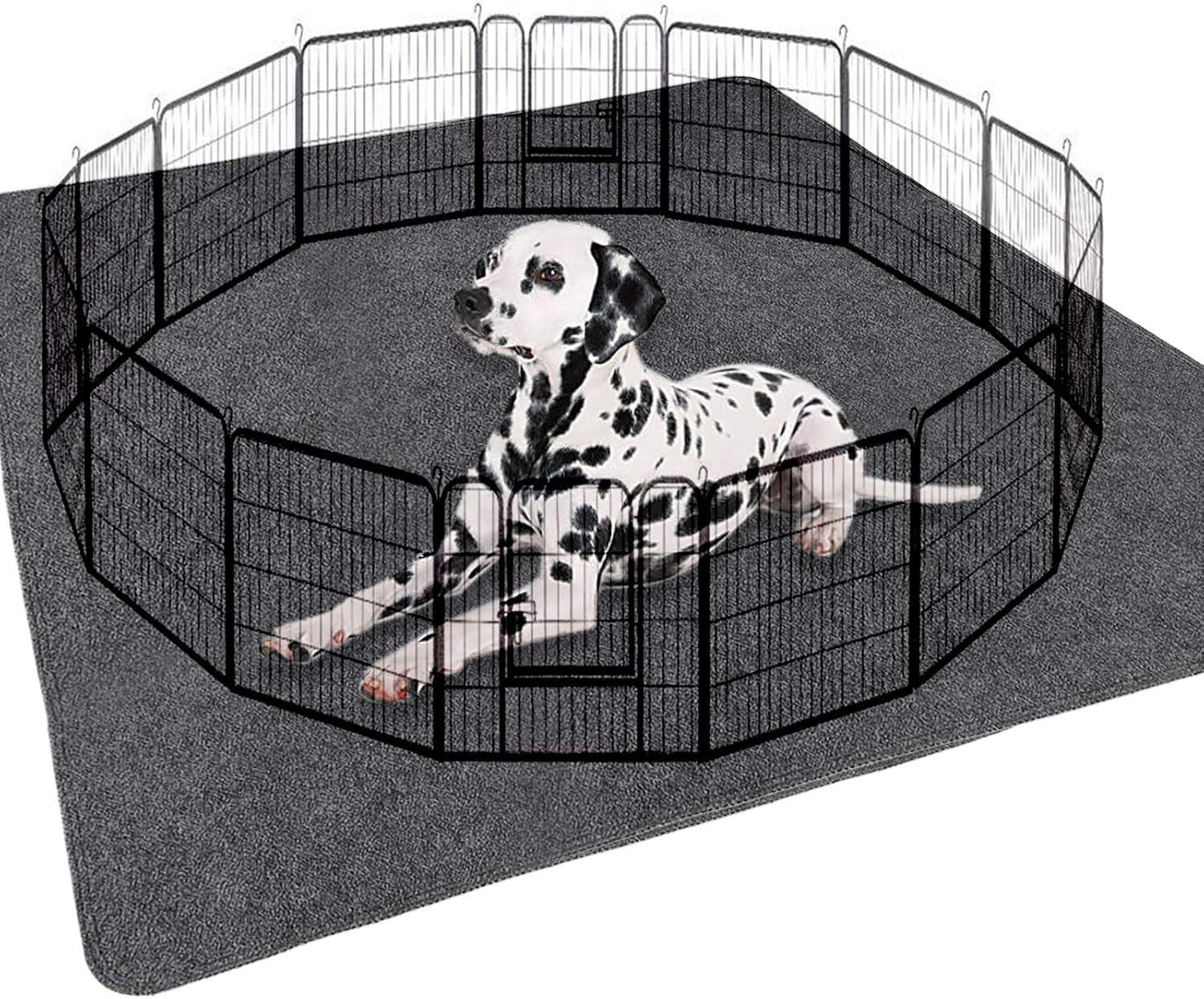 kennel gate mapperley