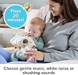 Fisher-Price On-the-Go Koala Soother Plush Toy Music White Noise 0+ Months view 4