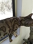 Review Image by Amazon Customer