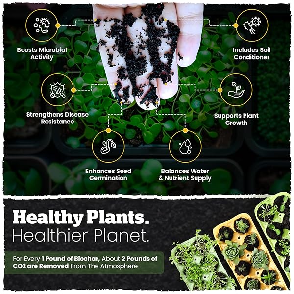 WAKEFIELD BIOCHAR BLEND WITH CARBONBOOST™ TECHNOLOGY – ENHANCED WATER & NUTRIENT RETENTION FOR RAISED BED GARDEN SOIL – ULTIMATE ORGANIC POTTING SOIL MIX FOR VEGETABLES, GARDENS AND HOUSEPLANTS – 4QT