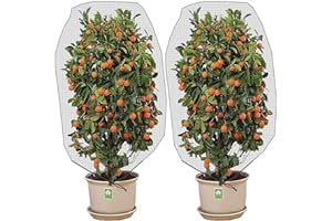Alpurple 2 Pcs Insect Bird Barrier Netting Mesh with Drawstring- 4.9 x 3.2 Ft Garden Bug Netting Plant Cover- Fruit Tree Net for Protect Plant Fruits Citrus Flower from Insect Bird Eating