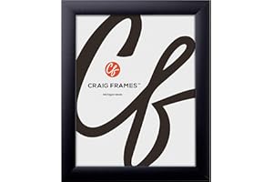 Craig Frames 19x27 Picture Frame – Matte Black 1WB3BK Style, 1 Inch MDF Moulding, Smooth Finish, Clear Plexiglass and Backing Included – Modern Wall Display for Posters or Photos