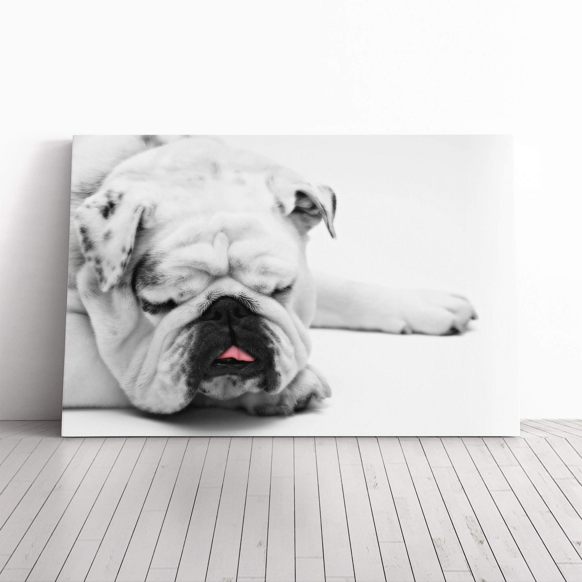 White British Bulldog Dog (1) Canvas Print | Gallery Wrapped 30mm Frame Wall Art | 20x14 inches | Ready to Hang | Modern Animals Picture | Living Room Bedroom Lounge Office