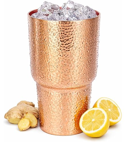 Amazon.com | Primula Triple Layer 20 oz Hot or Cold Thermal Drink