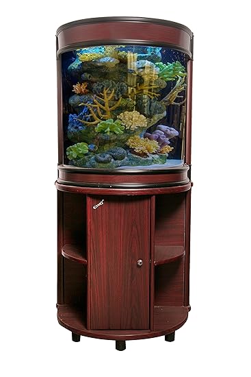 aquarium online