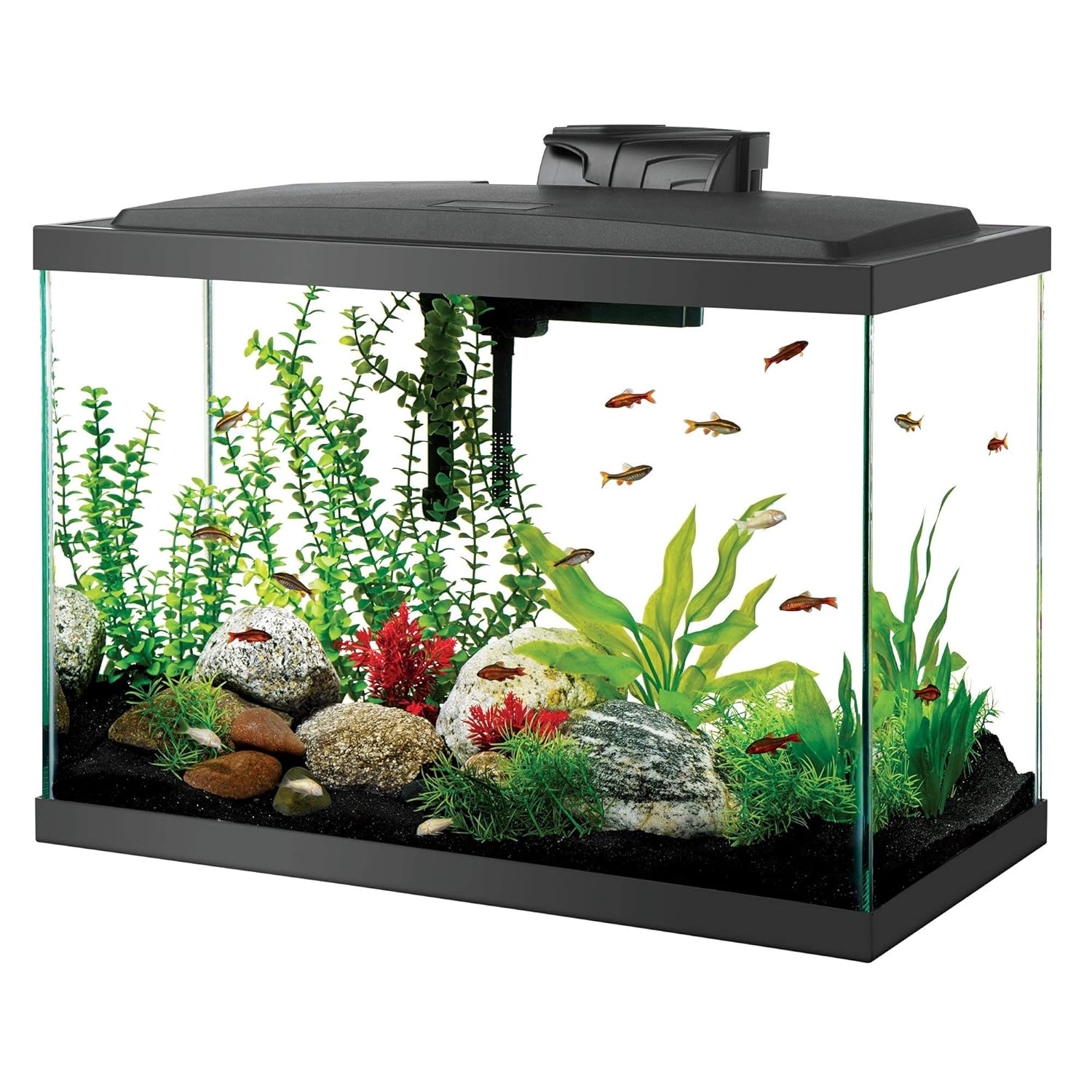 fish tank singapore supplier