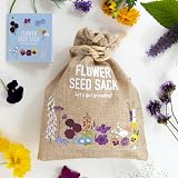 Scott&Co Flower Seed Variety Pack 30 Varieties Bee Butterflies Grow Indoor view 5
