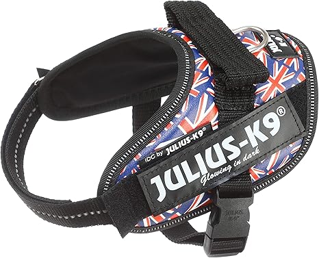 JULIUS-K9 16IDC Power Harness