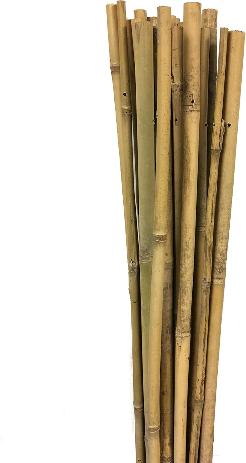 MGP Natural Bamboo Stakes, 3/8" D x 36" L Garden & Outdoor