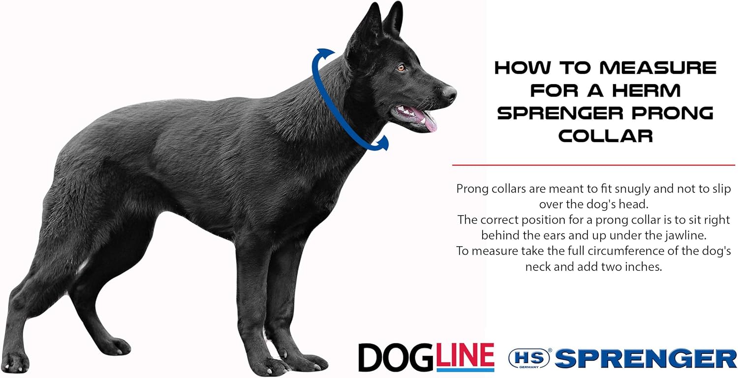 prong collar instructions