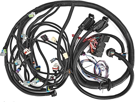 Standalone Wiring Harness Gm 6 0 Engine Wiring Diagram Options Fat Desk A Fat Desk A Studiopyxis It