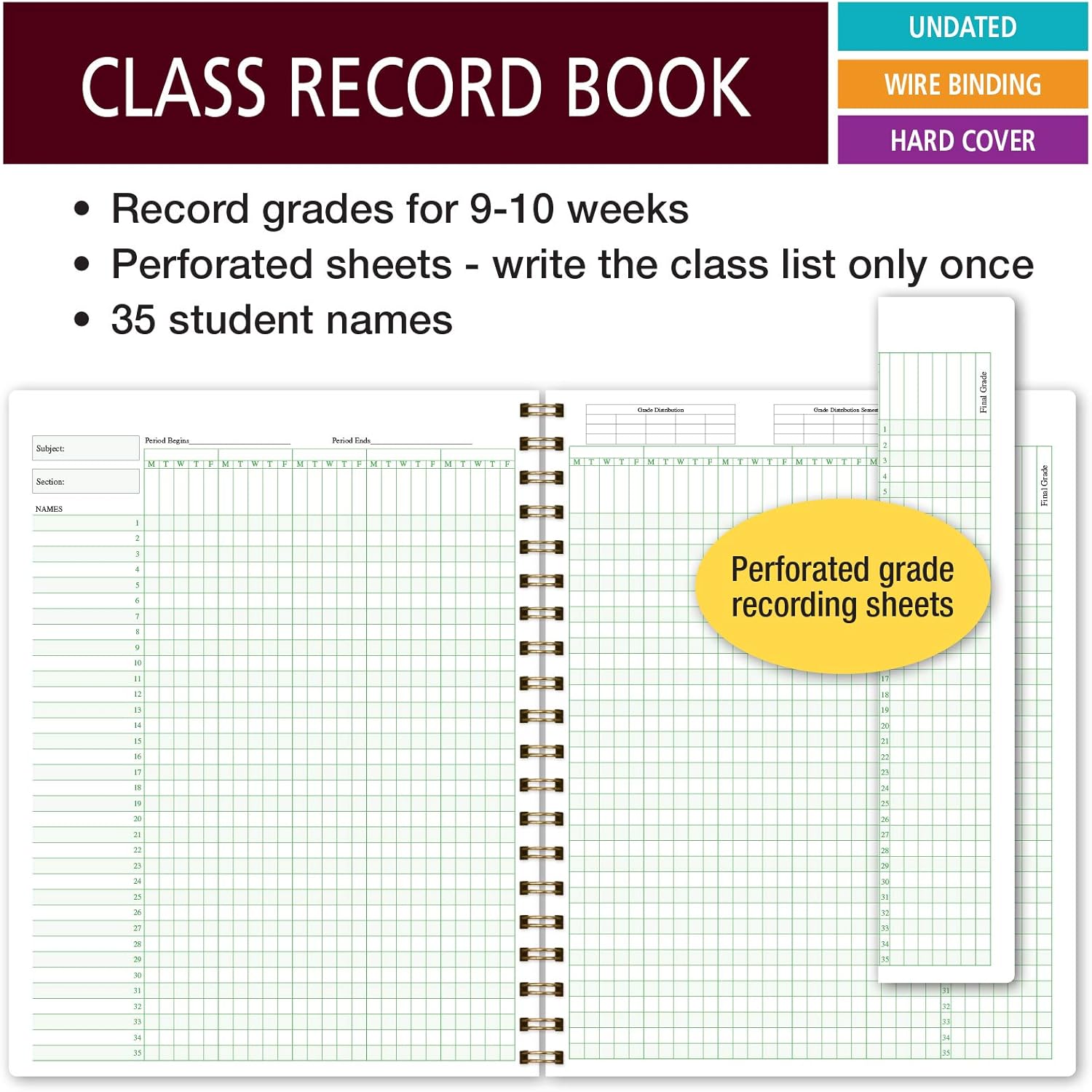 Class Record Book for 9-10 Weeks. 35 Names. Larger Grade Recording Squares. (R1035 - Gold Dots Torquoise) : Office Products