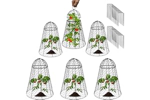 Sapbontchi Garden Cloches for Plants Extra Large Chicken Wire Cloche for Plants Rustproof Plant Cages Cover Plant Protectors from Animals Garden Set of 6 Plant Cloche 20" H x 12" D Garden Cloche