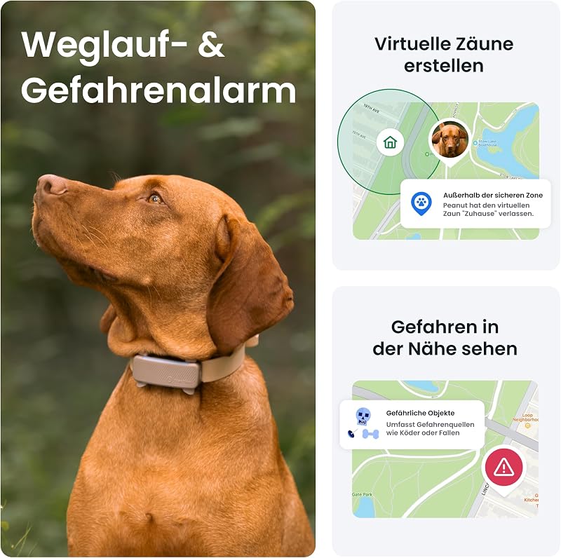 GPS Tracker Hund | 2025 Edition | Live-Ortung | Weglaufalarm | Aktivitätstracking | Gesundheitswarnungen | Bellverhalten | Empfohlen von Martin Rütter (Braun)
