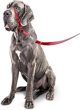 Beaphar Gentle Leader Head Collar for Large Dogs - Anti-Pull Training Aid view 4