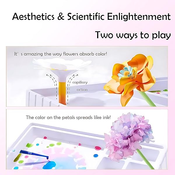 TEHZYORA PAPER FLOWER SCIENCE KITS & CRAFTS FOR GIRLS AGES 8–12 – DIY COLOR-WICKING BLOOMING FLOWERS WITH PRIMARY DYES, STEM ART PROJECT, BOUQUET BOX INCLUDED (PINK)