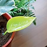 Bubblegum Stuff Foliage Funnels - 6 Stylish Watering Tools for Plants view 8