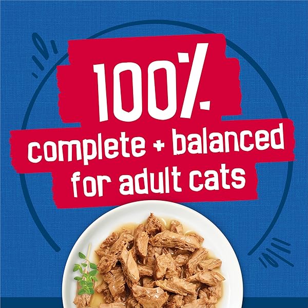 PURINA FRISKIES GRAVY WET CAT FOOD VARIETY PACK SEAFOOD PRIME FILETS FAVORITES – (PACK OF 24) 5.5 OZ. CANS