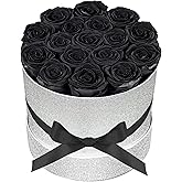 Prifroti 17 Black Flowers in Glitter Box, Birthday Gifts for Women, Preserved Flowers, Mothers Day Roses Gift for Mom