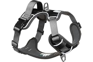 EMBARK PETS Embark Adventure Dog Harness, Reflective Trim No Pull Dog Harness for Large Dogs - Military Grade Nylon, Front Clip Dog Harness with Gel Lined Handle. Soft & Padded Puppy Dog Harnesses for Any Breed