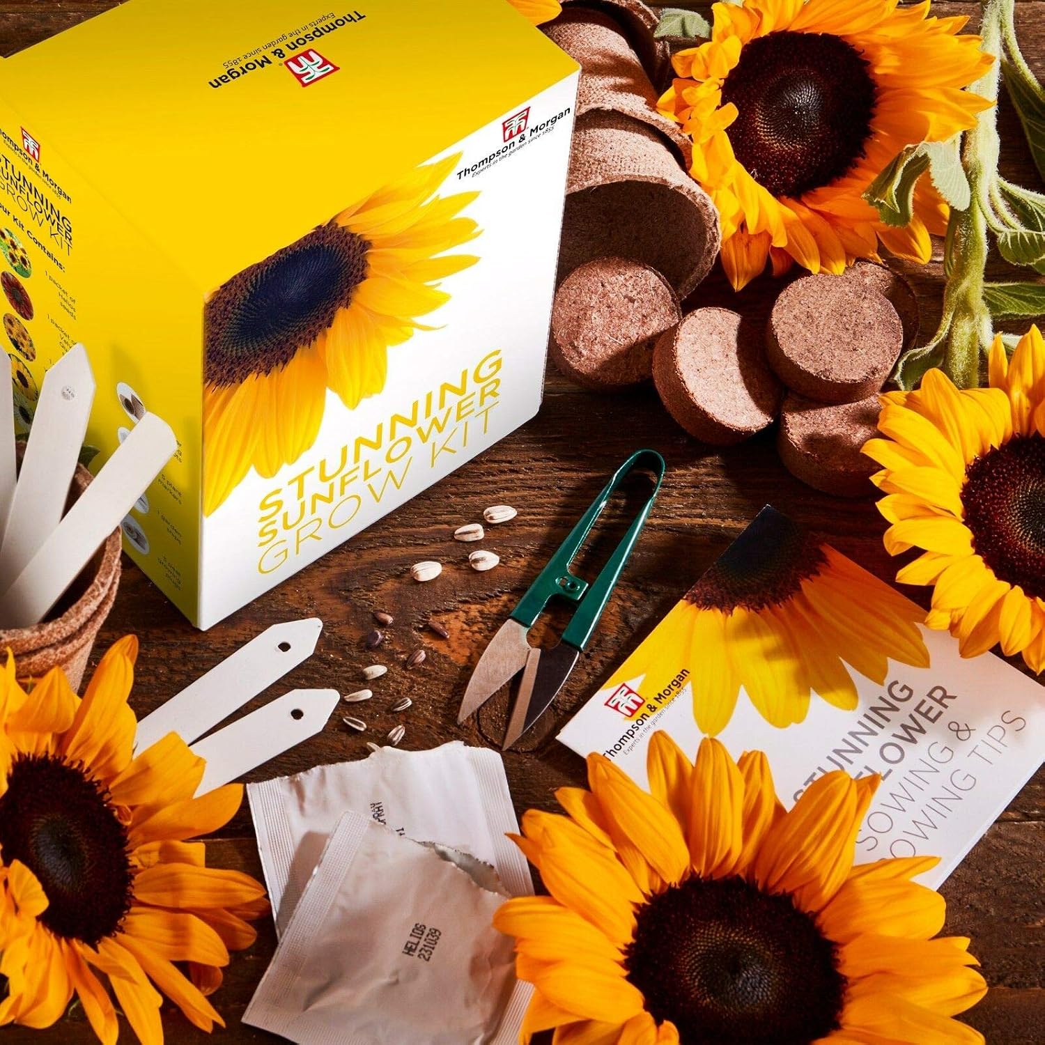 Stunning Sunflower Seed Growing Kit, Grow Your Own 5 Varieties of Contrasting Flowers in one Seed Grow Kit - Image 4