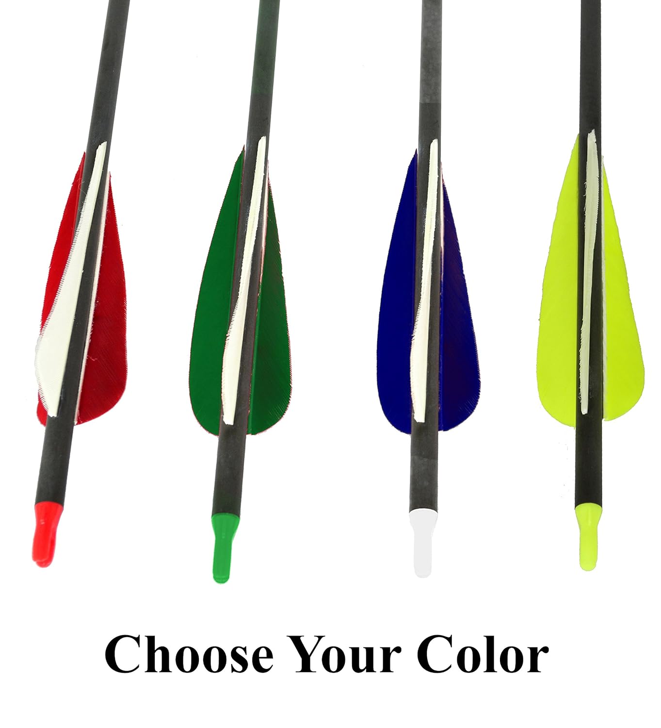 Premium Carbon Arrows Spyder and Spyder XL Takedown Recurve Bow Recurve