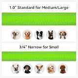 Joytale Padded Handle Dog Lead 1.2m 2.5cm Green Reflective Double-Sided Nylon view 6
