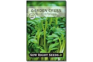 Sow Right Seeds - Garden Cress Seeds for Planting - Non-GMO Heirloom Packet with Instructions to Plant and Grow a Kitchen Herb Garden - Indoors or Outdoors - Edible Leaves and Cute Filler (1)