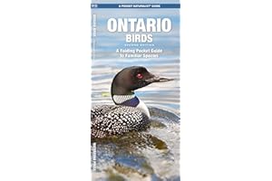 Ontario Birds, 2nd Ed (Nature Observation North America)