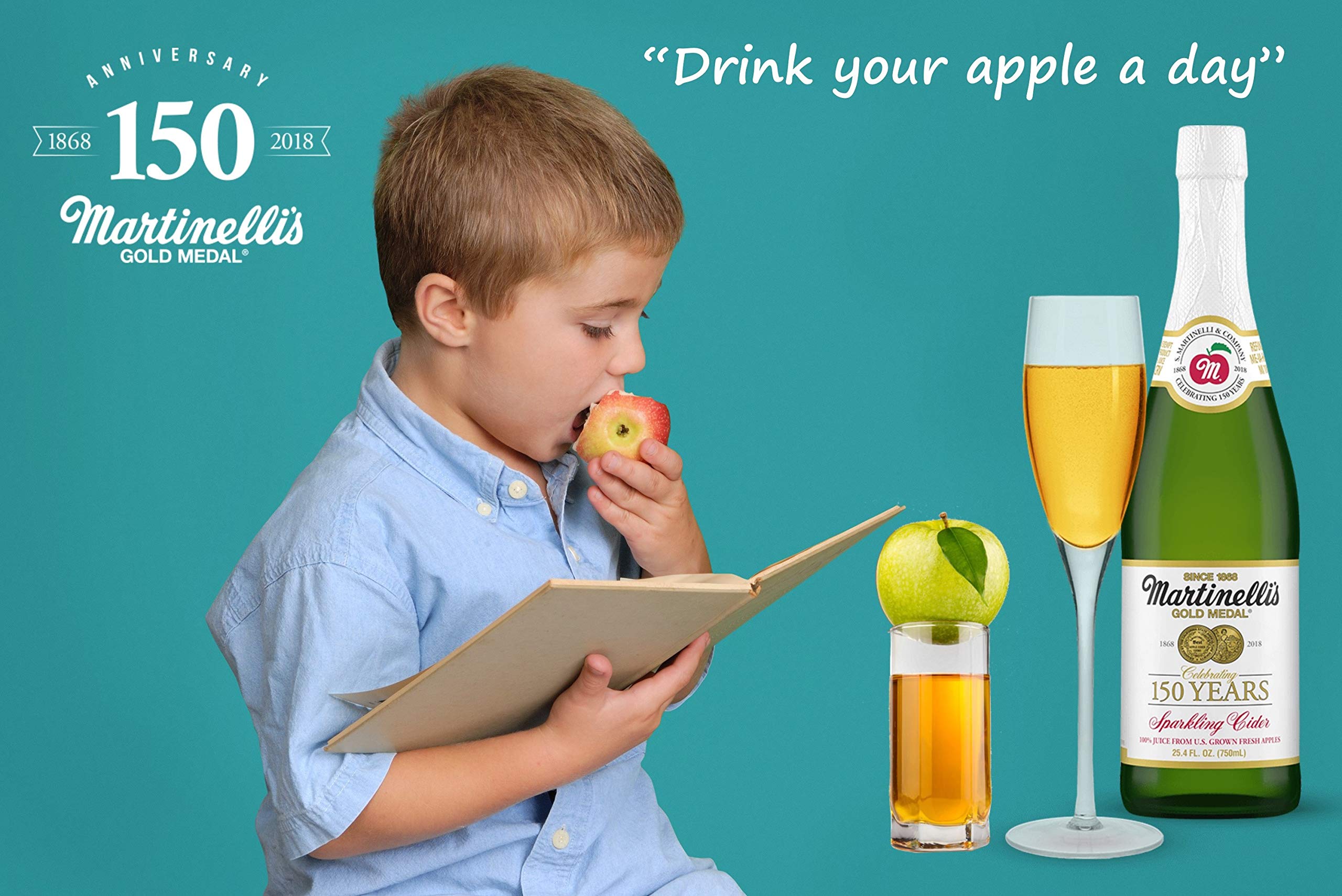 Martinelli S Gold Medal Sparkling Apple Cider 8 4 Oz Pack Of 12 Bottles Funtober