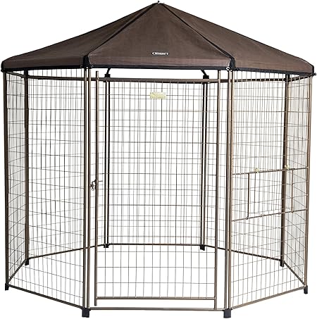 best outdoor dog run