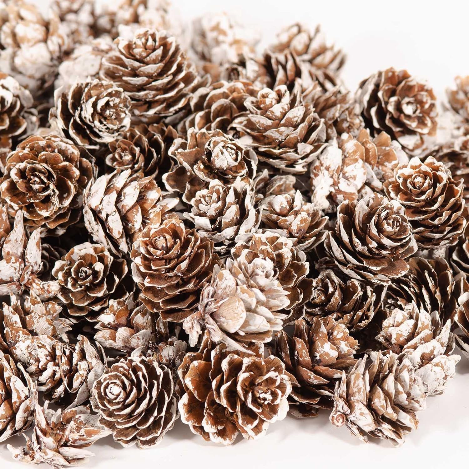 Vase Fillers - ZYP 230Pcs Mini Snow Pine Cones Bulk,Thanksgiving Rustic Pine Cone Ornaments Vase Fillers Christmas Small Tiny Pinecones for Crafts,Pine Cones Decorations for Christmas Tree