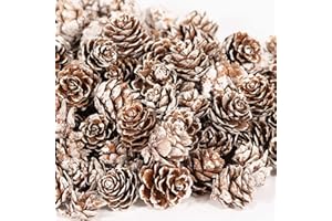 ZYP 230Pcs Mini Snow Pine Cones Bulk,Thanksgiving Rustic Pine Cone Ornaments Vase Fillers Christmas Small Tiny Pinecones for Crafts,Pine Cones Decorations for Christmas Tree