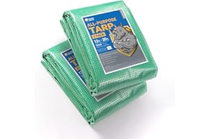 GUARD SHIELD Clear Green Tarp Heavy Duty 12x20 Feet Waterproof for Greenhouse Outdoor Garden Poly Cover UV Resistant 3x3 Weave 10mil (2-Pack)