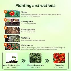 Outsidepride Red Torch Mexican Sunflower Seeds