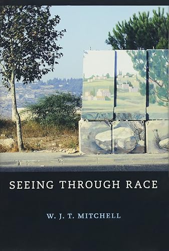 Download Seeing through Race PDF