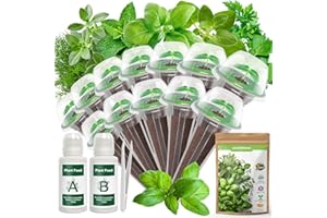 PLANTMEW 12-Pod Gourmet Herb Seed Kit Compatible with All Hydroponics- Basil, Parsley, Thyme, Mint, Cilantro, Dill, Oregano - Universal Seed Starter Pods Indoor Gardening (12-Pod)