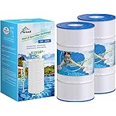 TOREAD Replacement for Pool Filter Pleatco PA90, CX900RE, C900, Unicel C-8409, Filbur FC-1292, Posi-Clear Sta-Rite PXC95, Clearwater II ProClean 100, Aladdin 19002, 25230-0095S, 2 Pack
