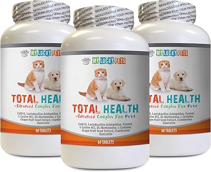 vitamin c for dogs uti
