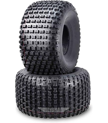 【1022】 Amazon.com: WANDA 2 New ATV Tires 22X11-10 4PR P322 Dimple Knobby