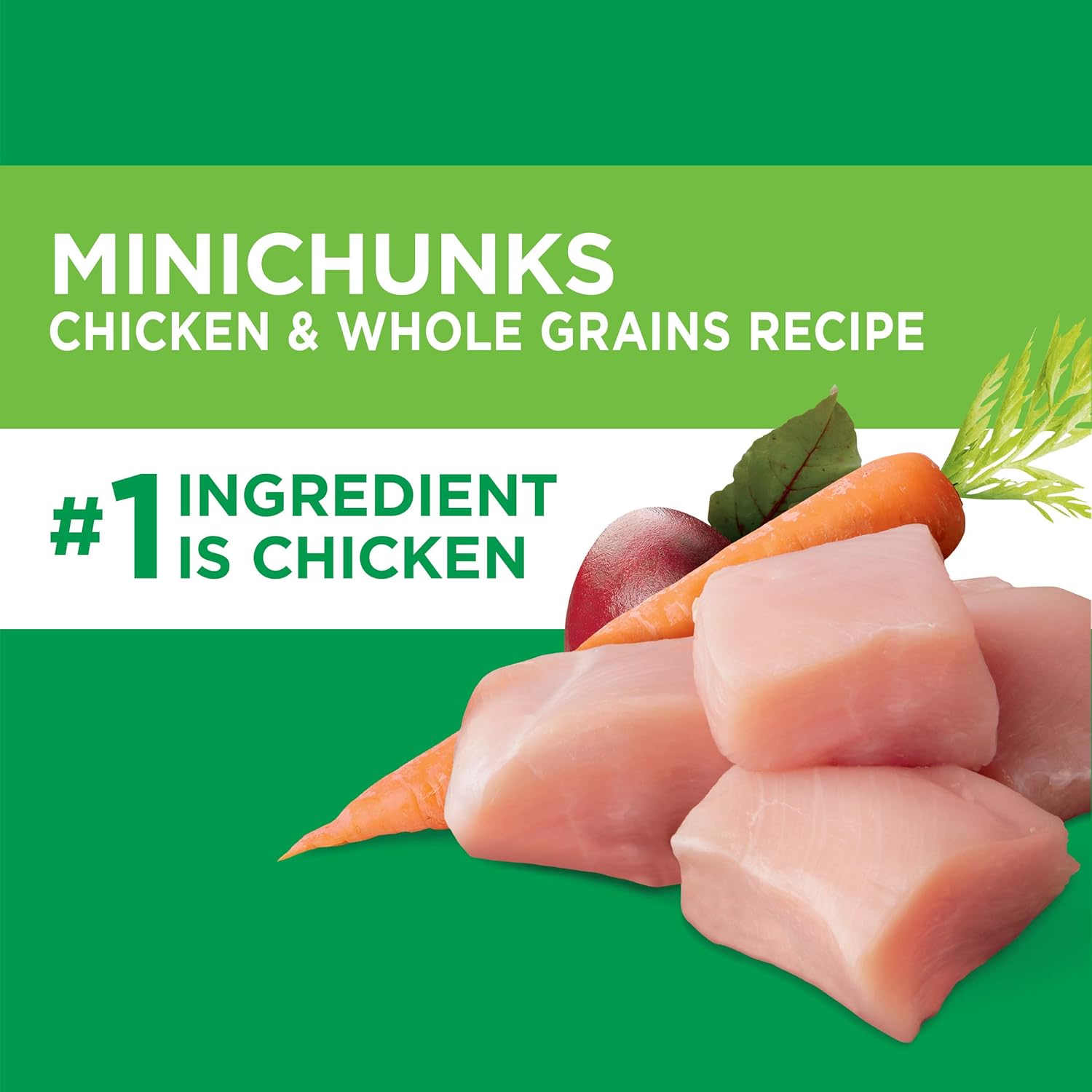 IAMS PROACTIVE HEALTH Adult Minichunks Small Kibble High Protein Dry Dog Food with Real Chicken, 30 lb. Bag: Pet Supplies