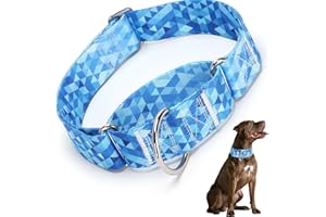 HIDAKEAI Martingale Collar 1.5 Inches Wide Dog Collar, Blue Heavy Duty Collar for Dogs with Larger Heads & Necks, Perfect Boy and Girl Collar for Training, Walking, Hunting (M)
