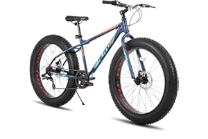 HH HILAND HILAND 24 26 Inch Fat Tire Mountain Bike for Men and Women, High Carbon Steel Frame Beach and Snow Wide Tire Adult Bicycle, 7-Speed and Dual-Disc Brake MTB